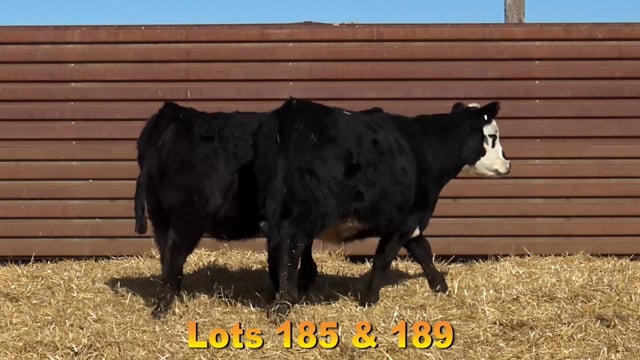 Lot #185 - BAX JAKADIAMONDS 6801