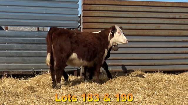 Lot #183 - BAX BALDER Z709 6243