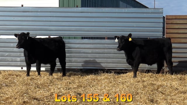 Lot #155 - BA TOTAL 6564