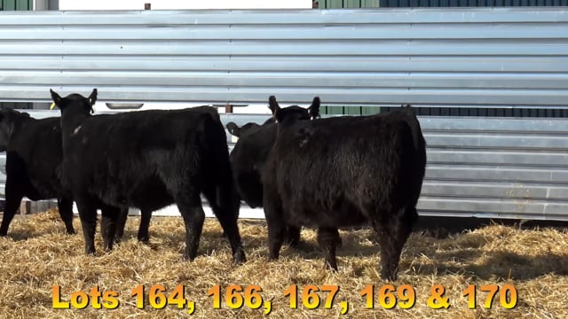 Lot #170 - BA UPWARD 0120 6913