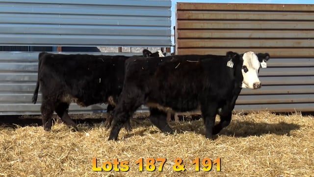 Lot #187 - BAX BALDER 9630 670