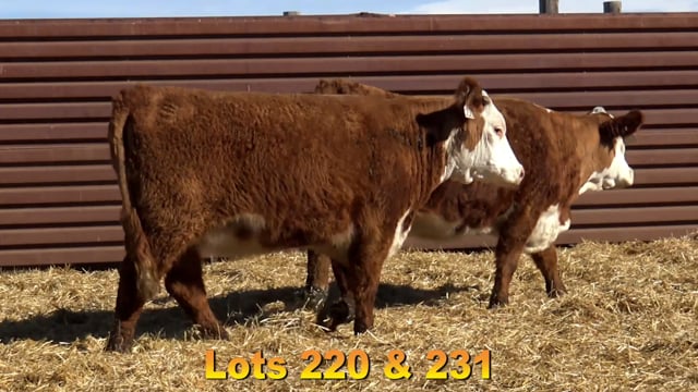 Lot #220 - SR SENITA 584C