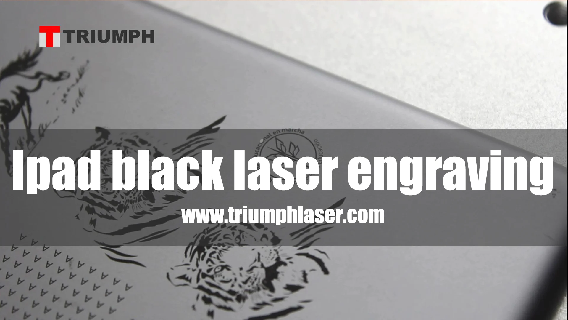 3D Laser Marking