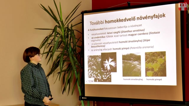 Kincskeresők XII - Asztalos András, Naszvad