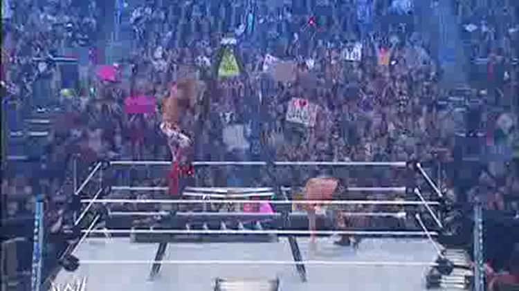 33 Moments Until WrestleMania: Triple H vs. Brock Lesnar - WrestleMania 29  (24 Days Left) on Vimeo