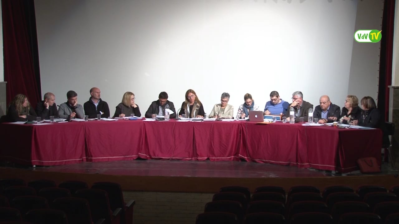 Ple municipal  32 de març de 2016 - punt4