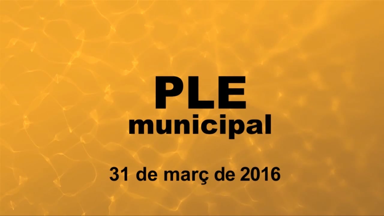 Ple municipal  32 de març de 2016 - PUNT1