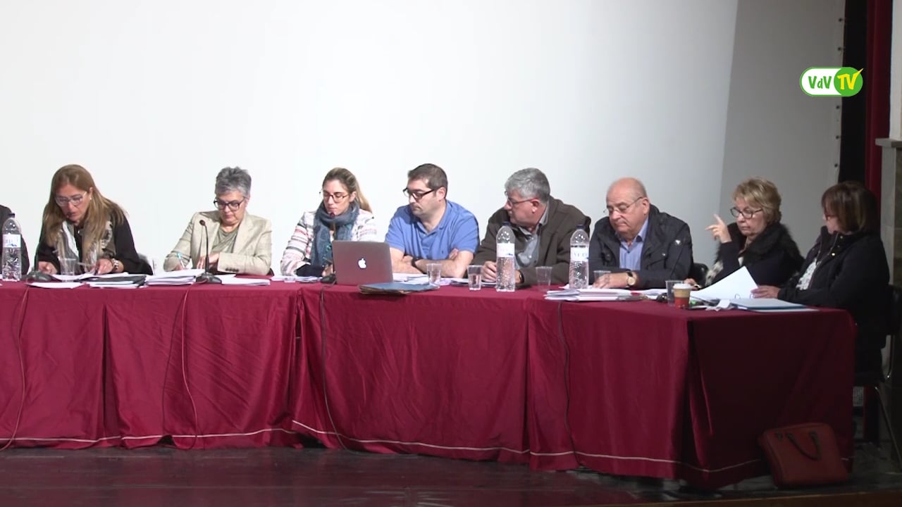 Ple municipal  32 de març de 2016 - punt4 (part1)