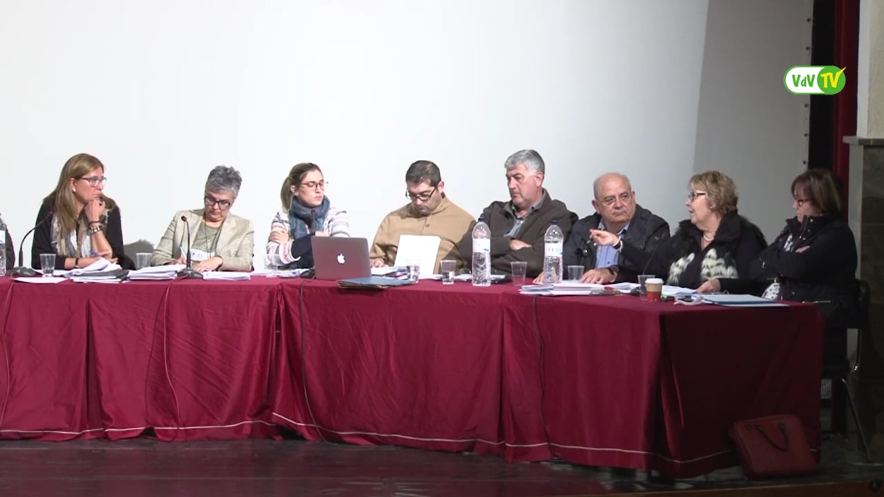 Ple municipal  32 de març de 2016 - punt5 (part2)
