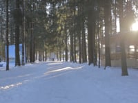 ОРГРЭС зимняя смена