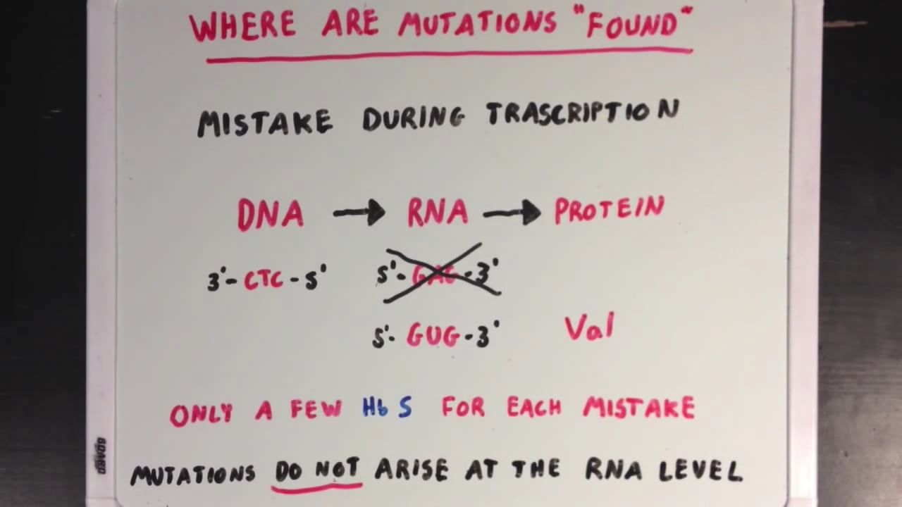 An introduction to mutations Biomolecules MCAT Khan Academy on Vimeo
