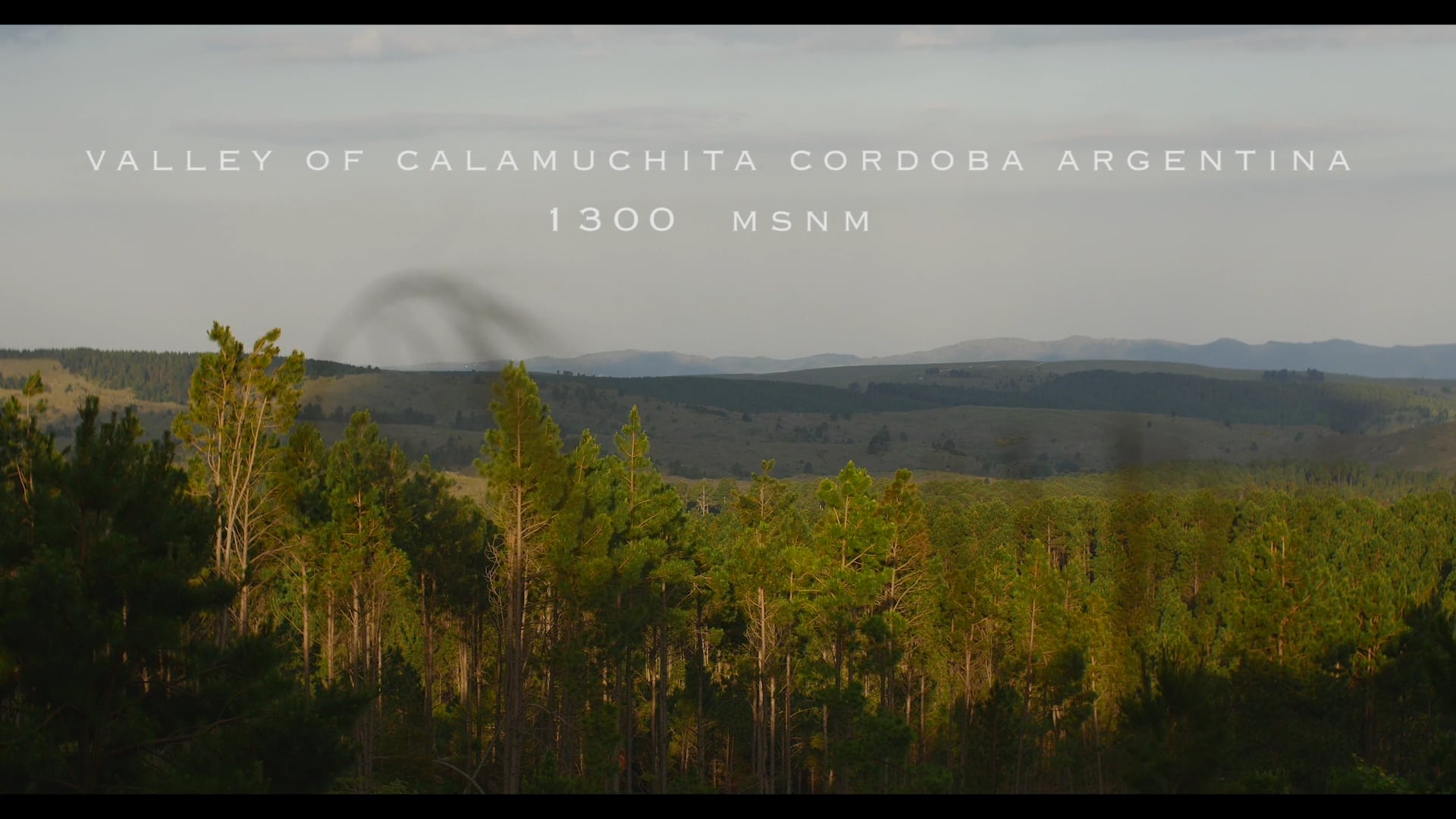 VALLE DE CALAMUCHITA / BODEGA ESTANCIA LAS CAÑITAS