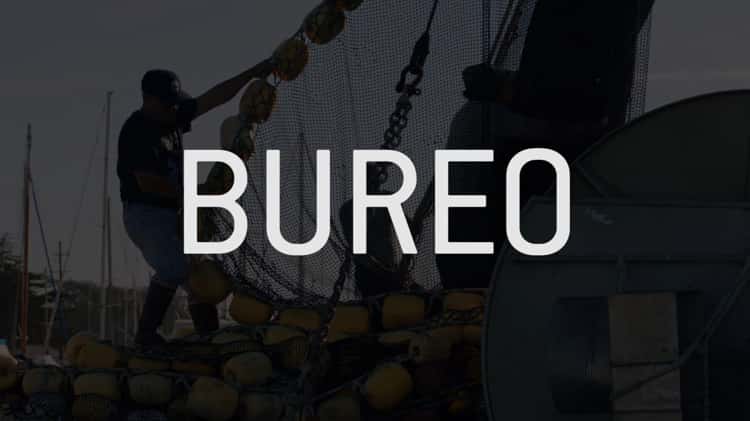 Bureo