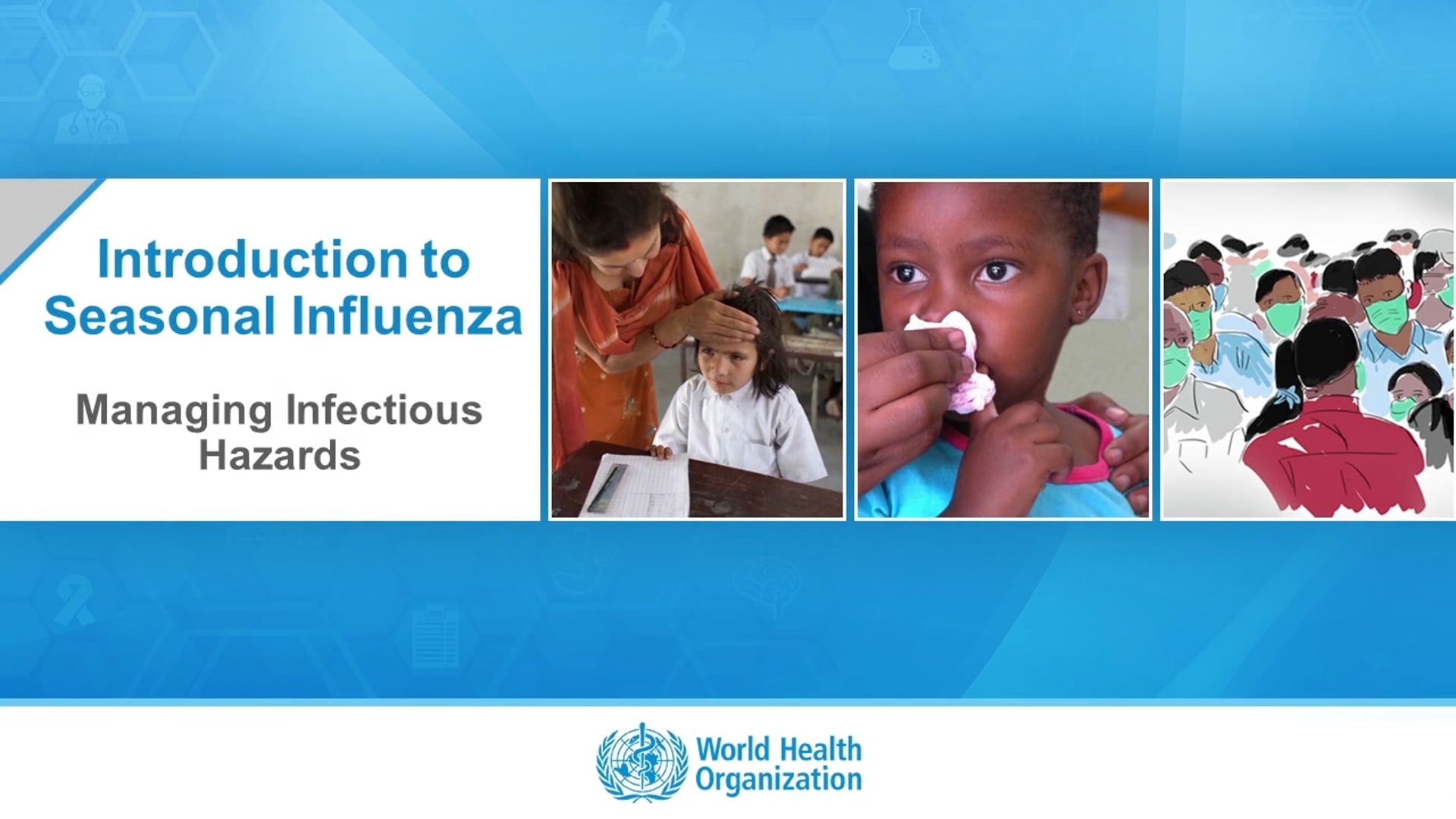 Introduction to Seasonal Influenza 