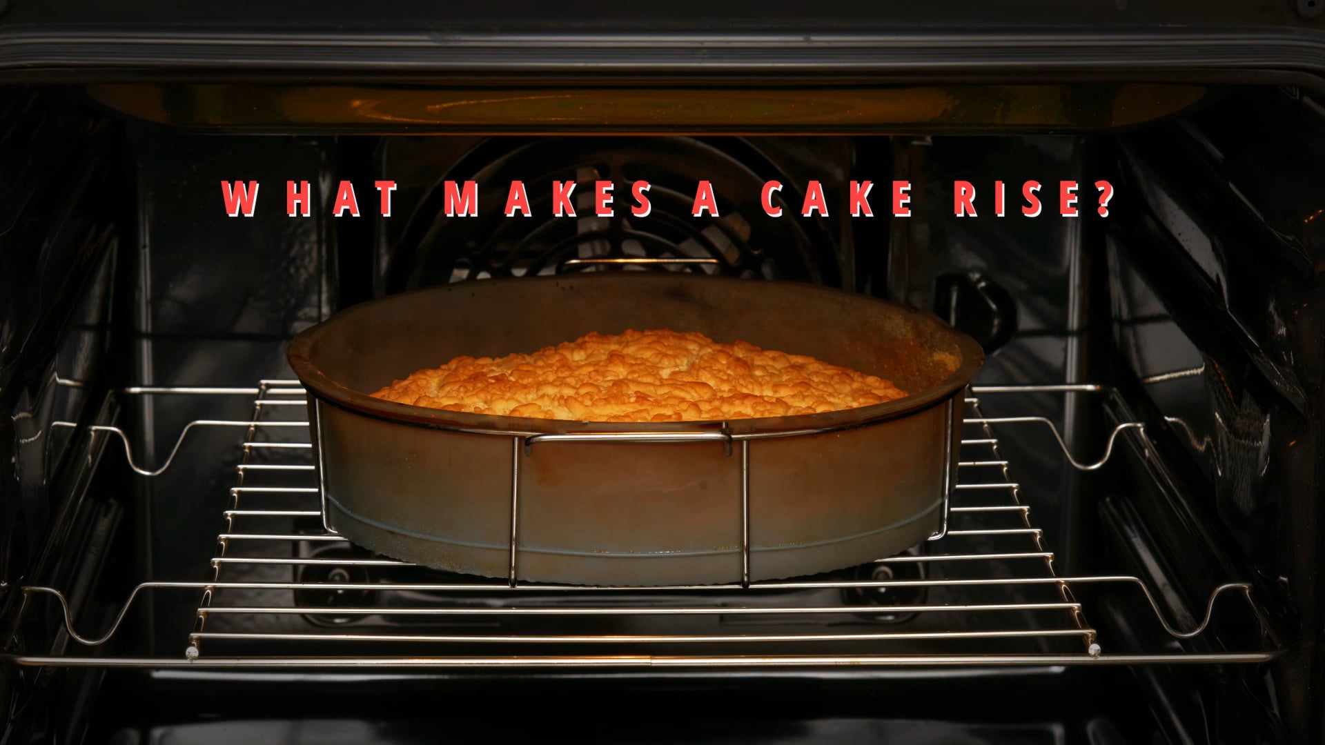 Motion Graphics Reel 2017