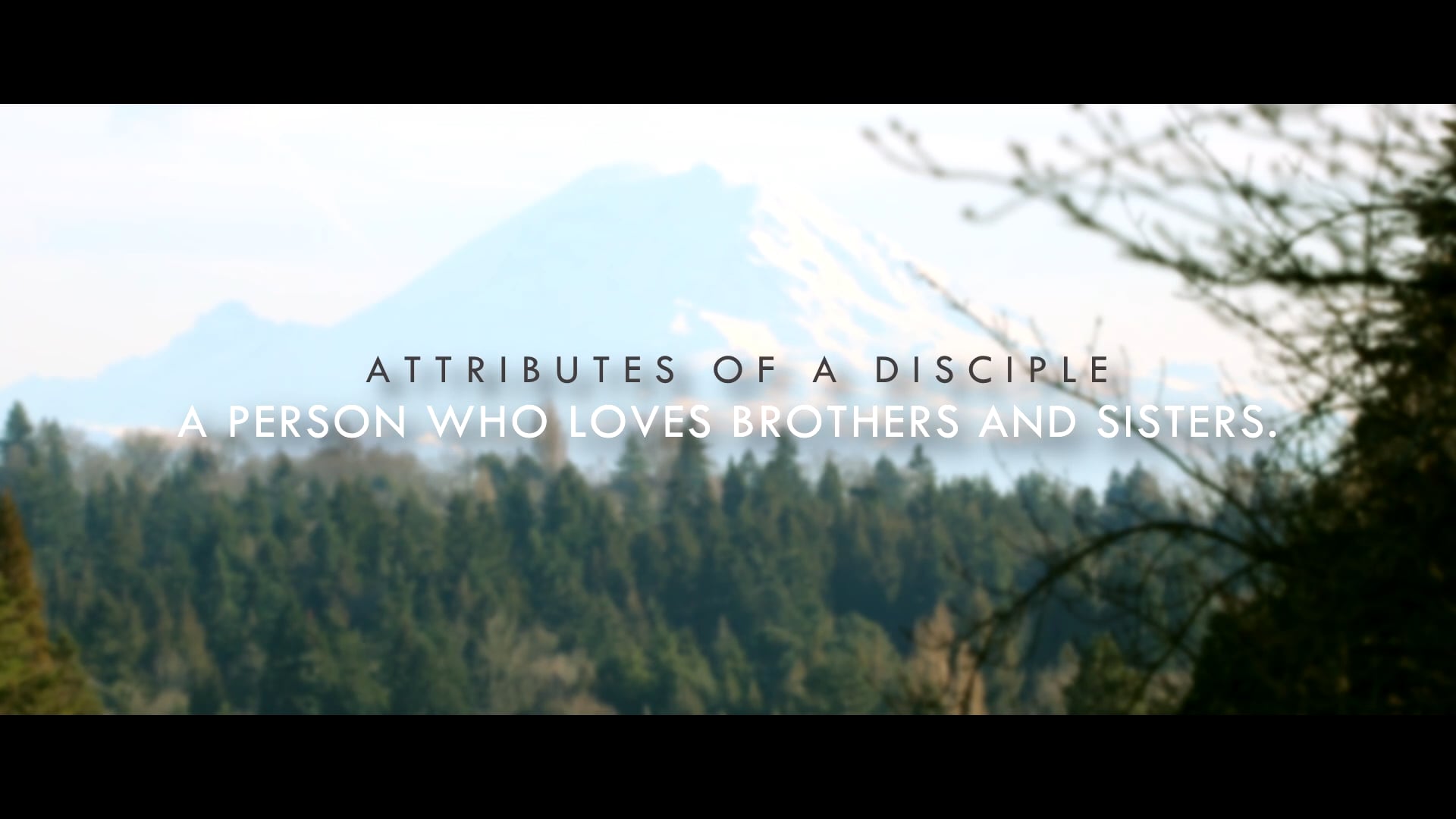 Attributes of a Disciple Part 5 - A person who loves the brothers and sisters.