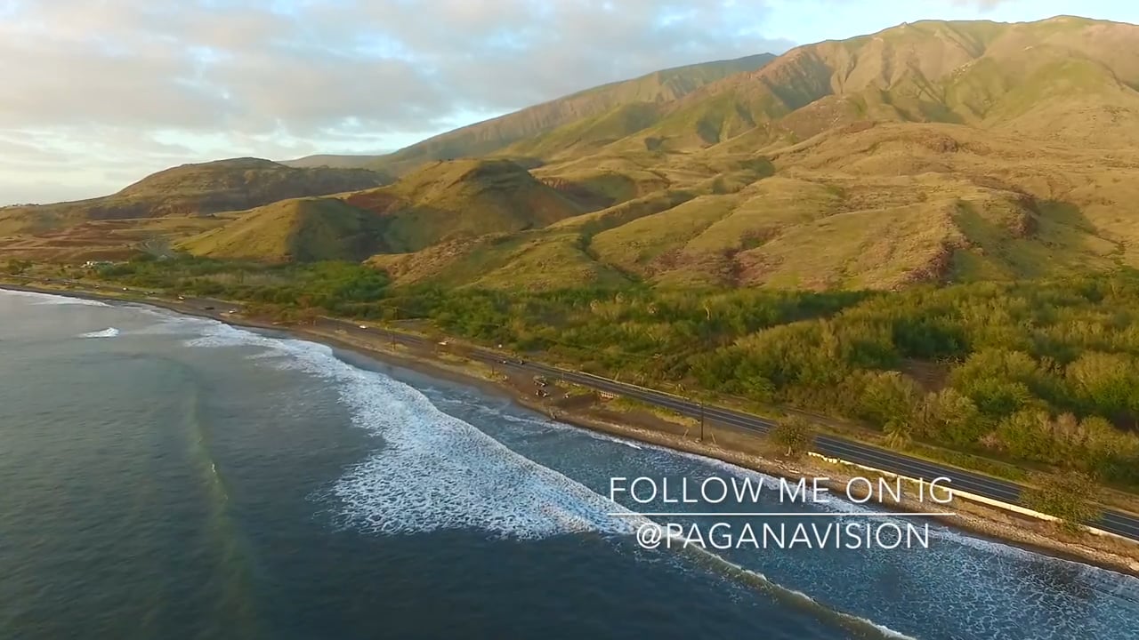 Follow the Whales