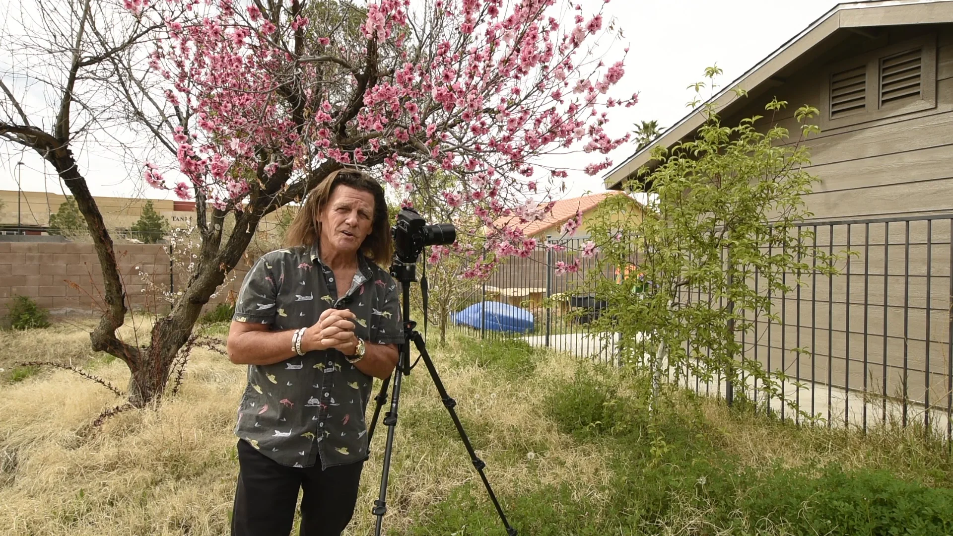 SPRING HAS SPRUNG on Vimeo