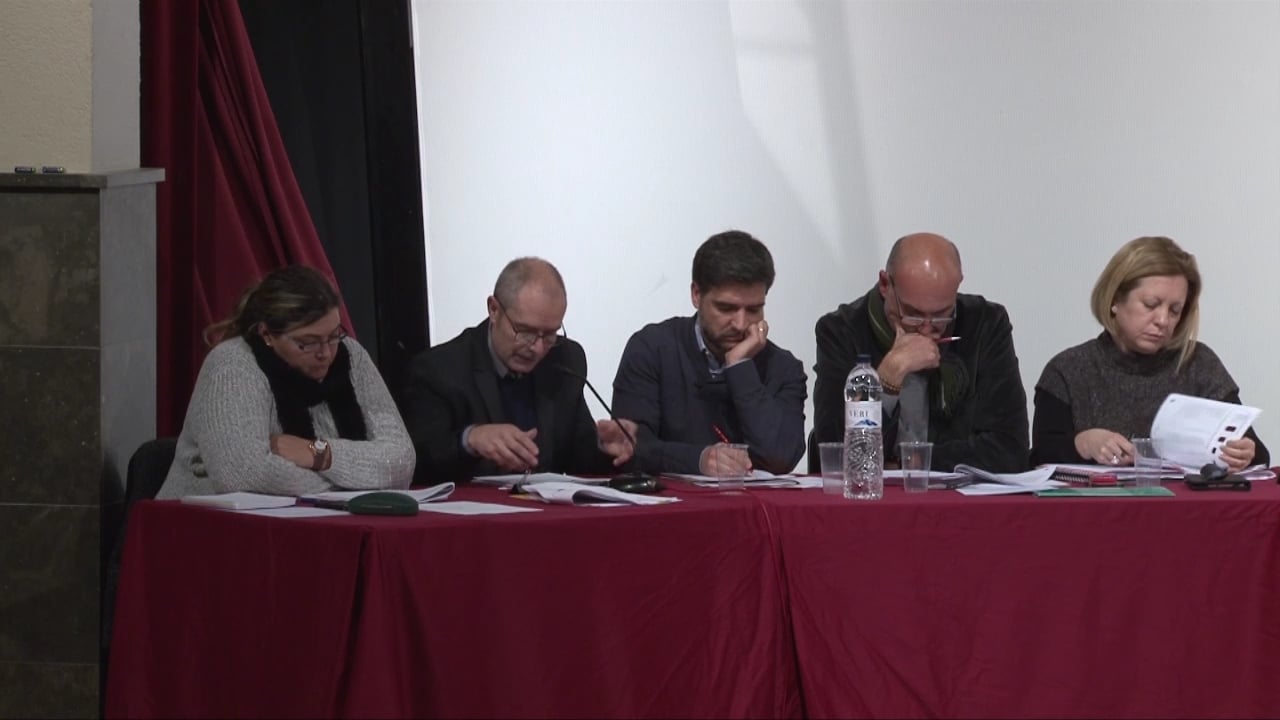 Ple municipal 28 de gener de 2016 - punt2 (part2)