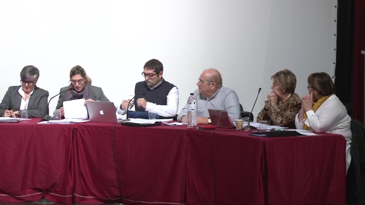 Ple municipal 28 de gener de 2016 - punt2 (part3)