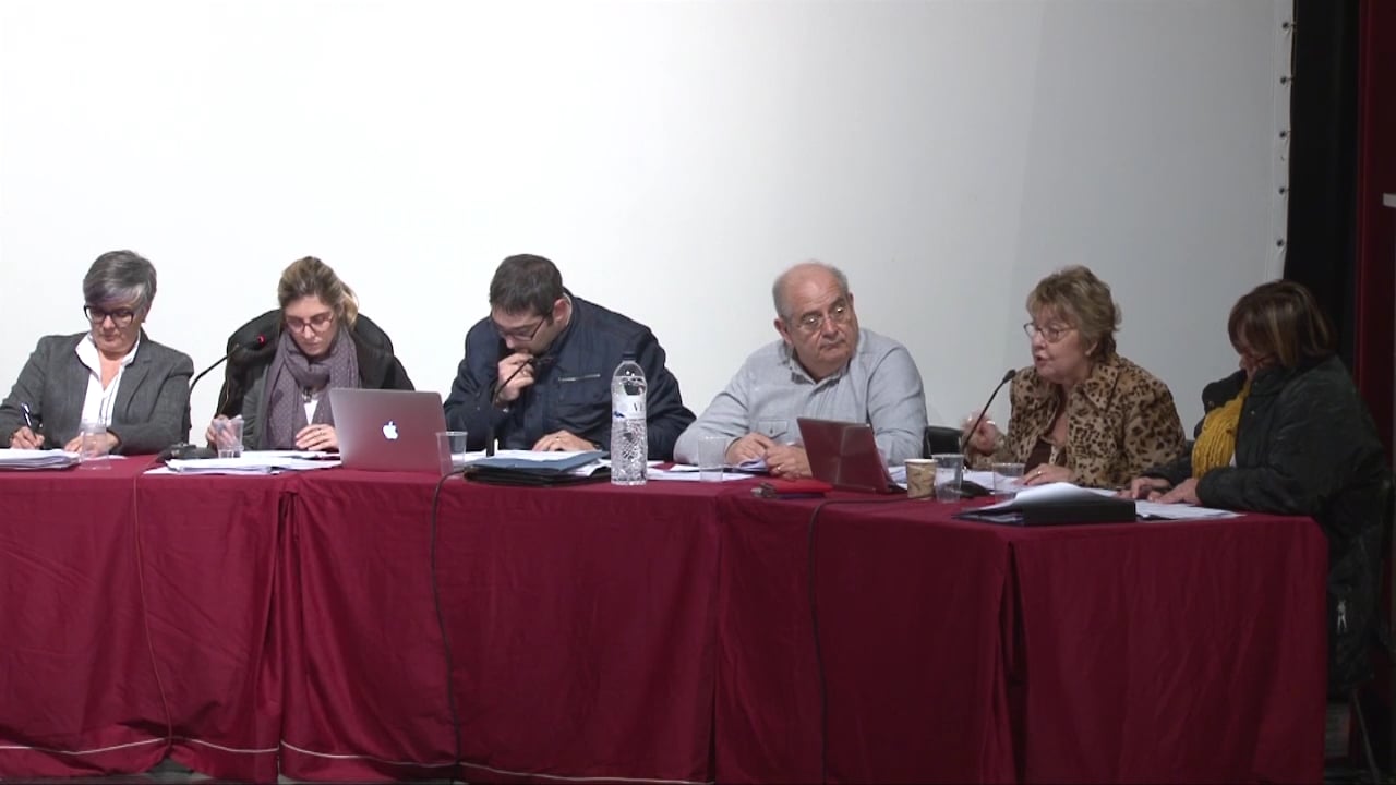 Ple municipal 28 de gener de 2016 - punt2 (part4)