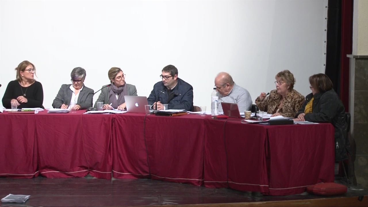 Ple municipal 28 de gener de 2016 - punt2 (part7)