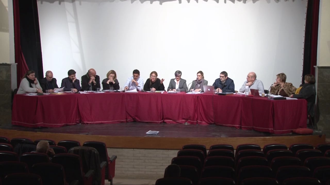Ple municipal 28 de gener de 2016 - punt2 (part8)