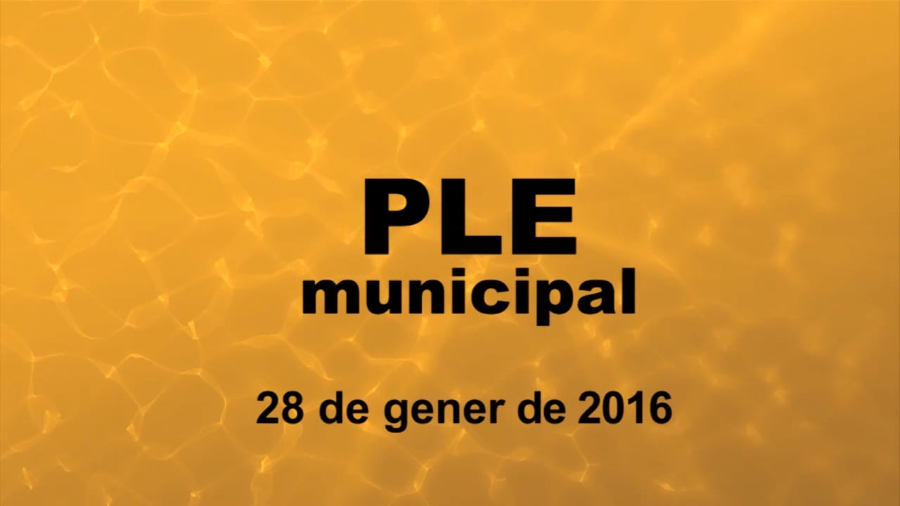 Ple municipal 28 de gener de 2016 - punt1