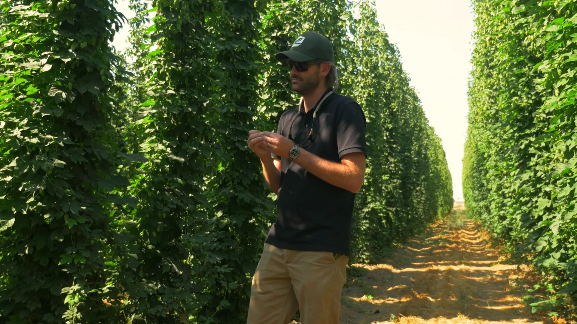 Loftus Ranches on Vimeo