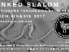 TENJIN BANKED SLALOM 2017