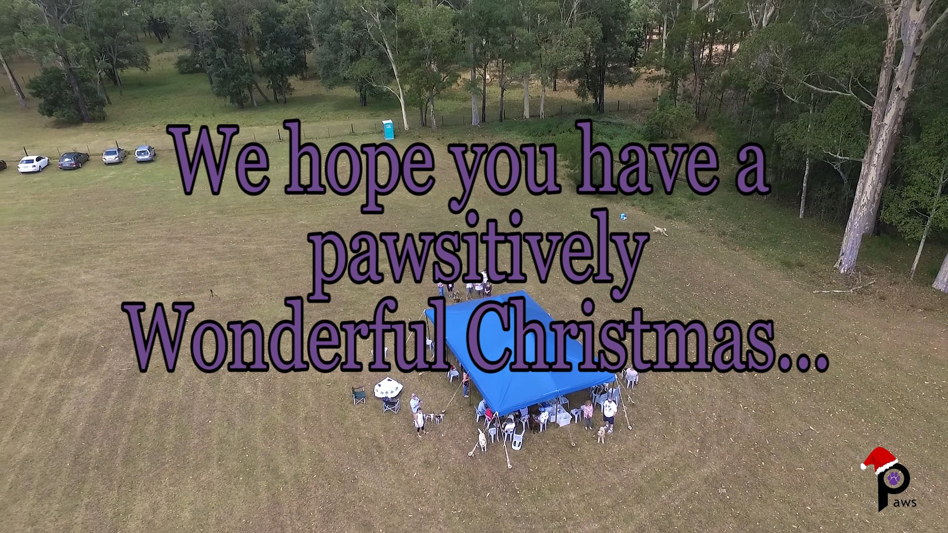 PAWS Volunteer Picnic 2016