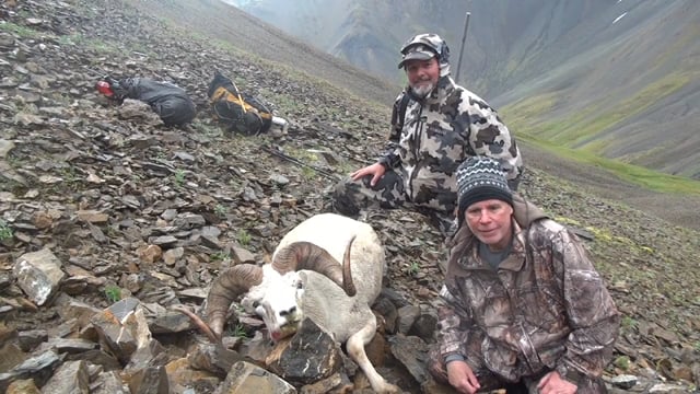 Todd L. Alaska Dall Sheep 2016