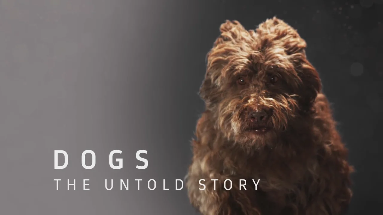 Dogs the untold hot sale story