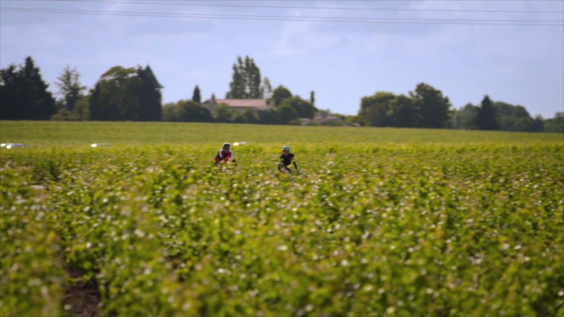 Micky's Detour de France 3min Reel web
