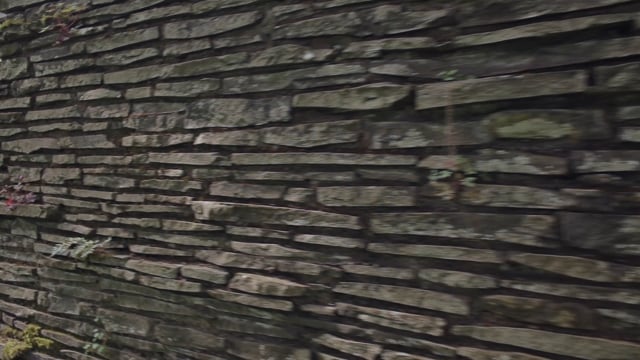 Rejuvenation - Customer Success Story