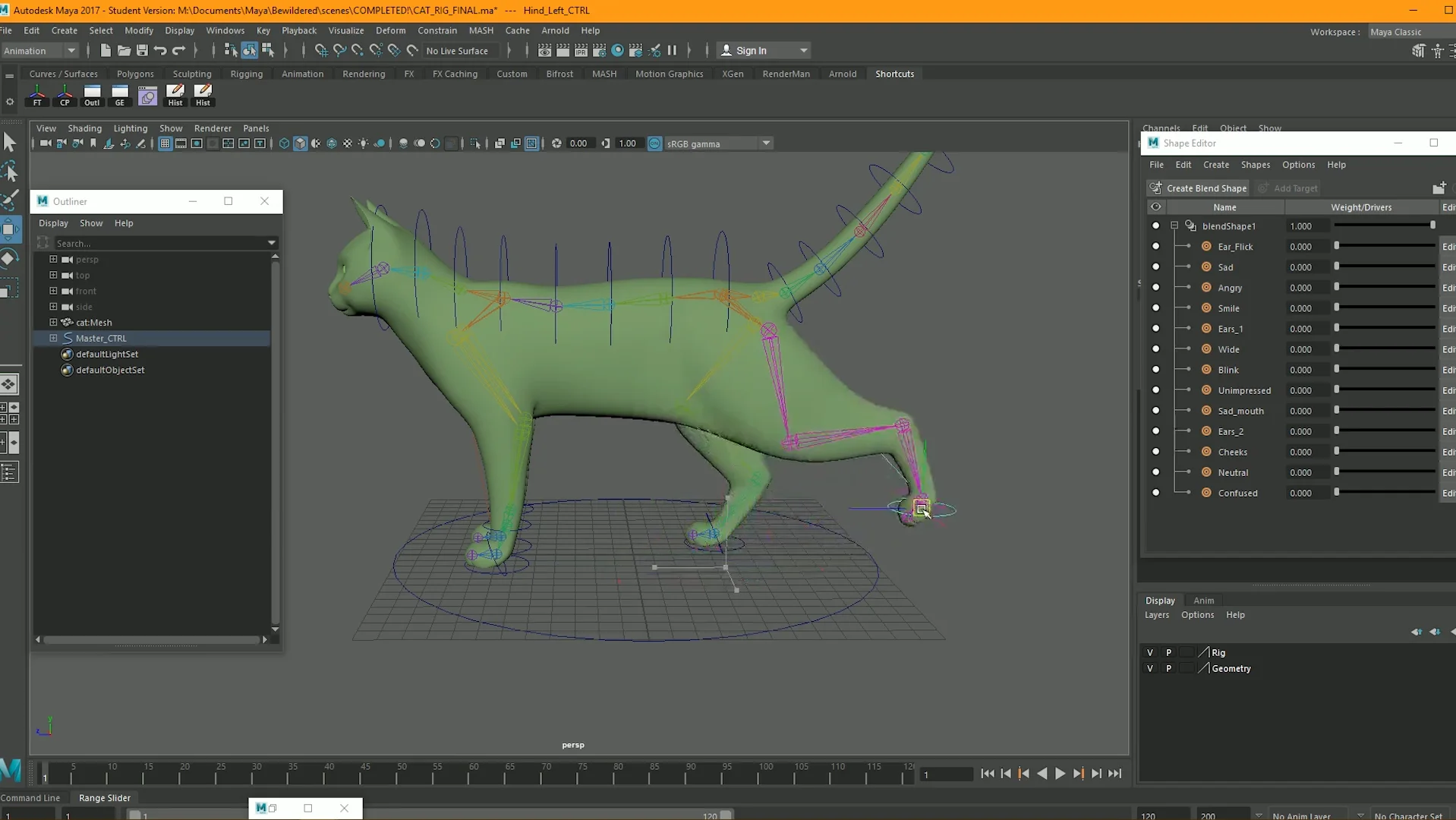 Cat Rig Demo on Vimeo