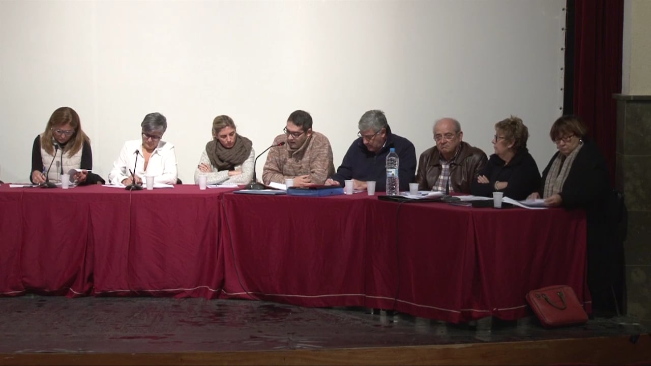 Ple municipal 30 de desembre  de 2015- punt2 (part1)