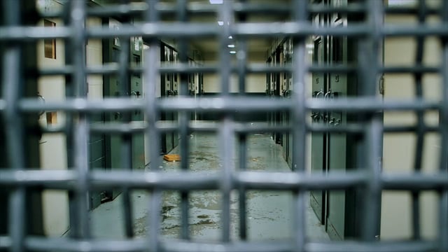 Last Days of Solitary