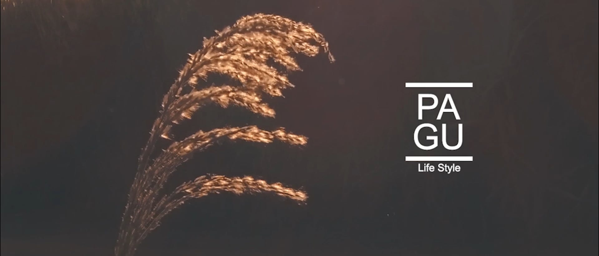 PAGU Life Style