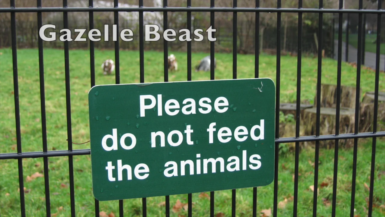 Please do not Feed the animals знак. Вывески на английском. Табличка English. Предупреждающие таблички на английском. Переведи с английского please
