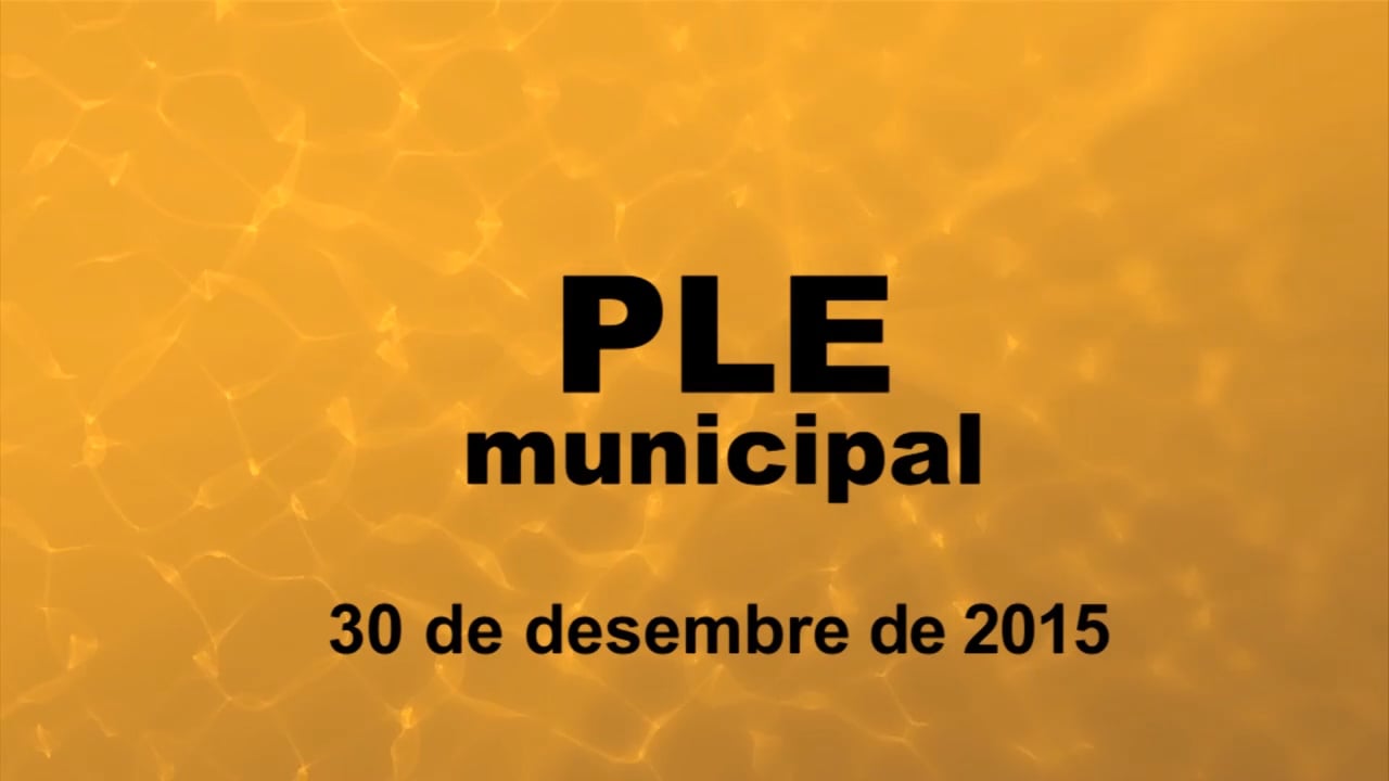 Ple municipal 30 de desembre  de 2015- punt1