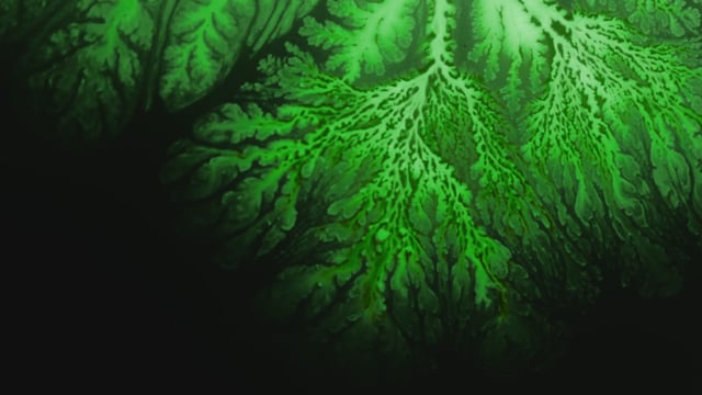 L’Oréal Botanicals Coriander