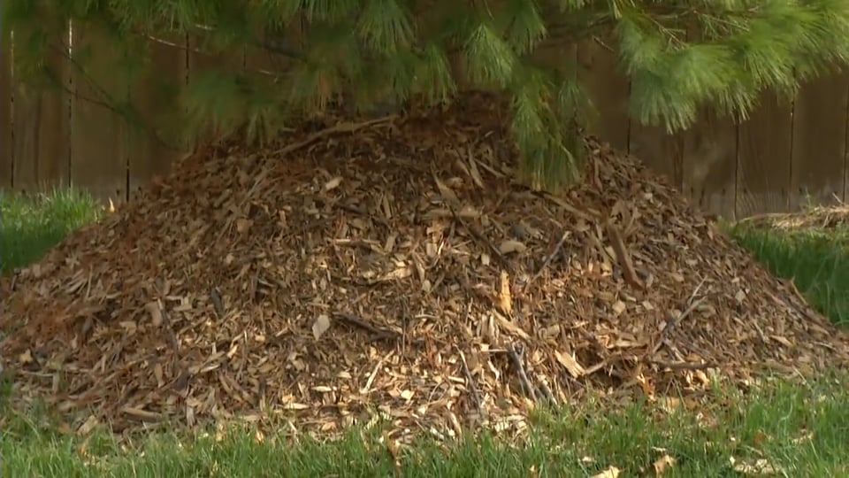 Tips from Toby – All About Mulch
