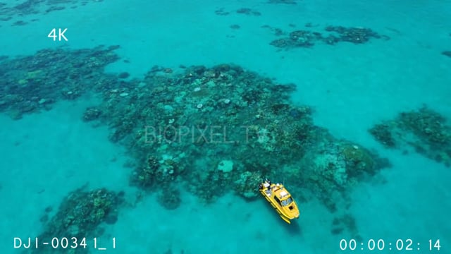 Aerial - Coral bleaching and snorkellers 4K