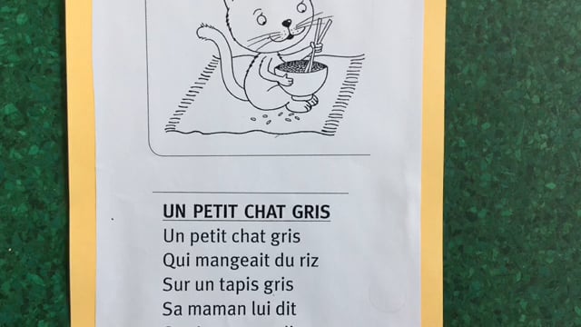 Un Petit Chat Gris On Vimeo