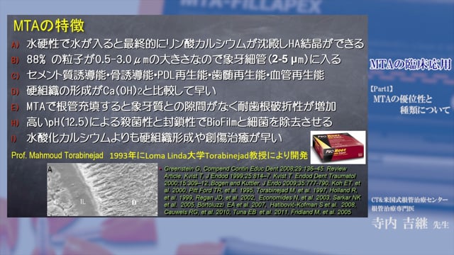 概論：MTAの特性と優位性について