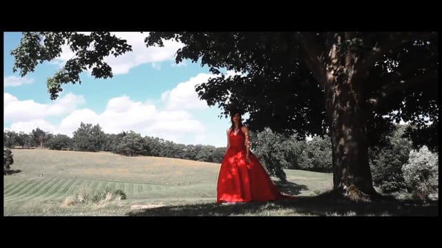VISIONARY - Official Trailer (2011)