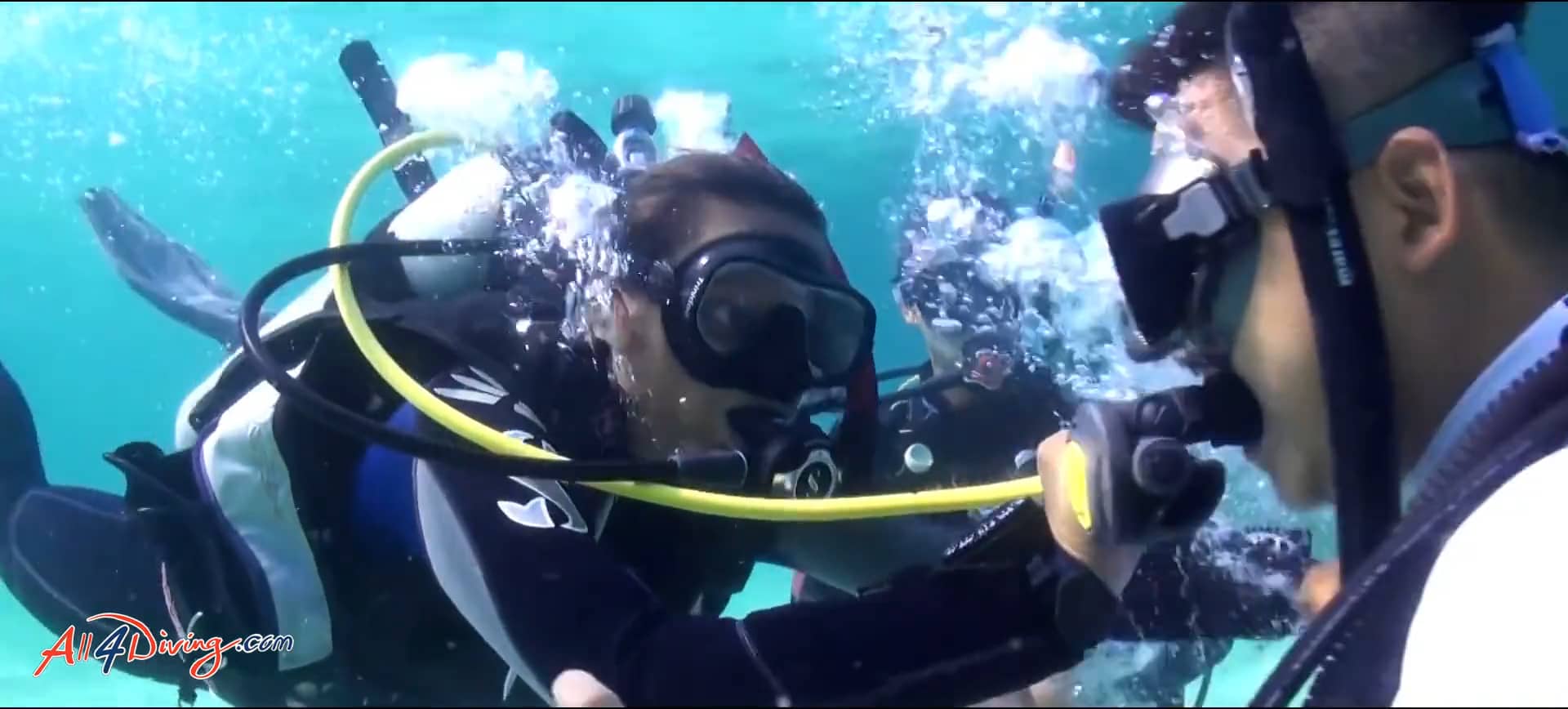 Rescue Diver Course with All4Diving on Vimeo