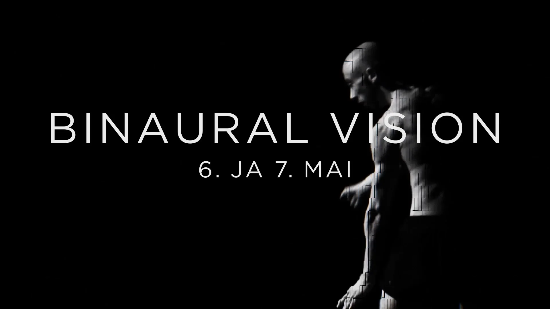 Rauno Zubko "Binaural Vision"