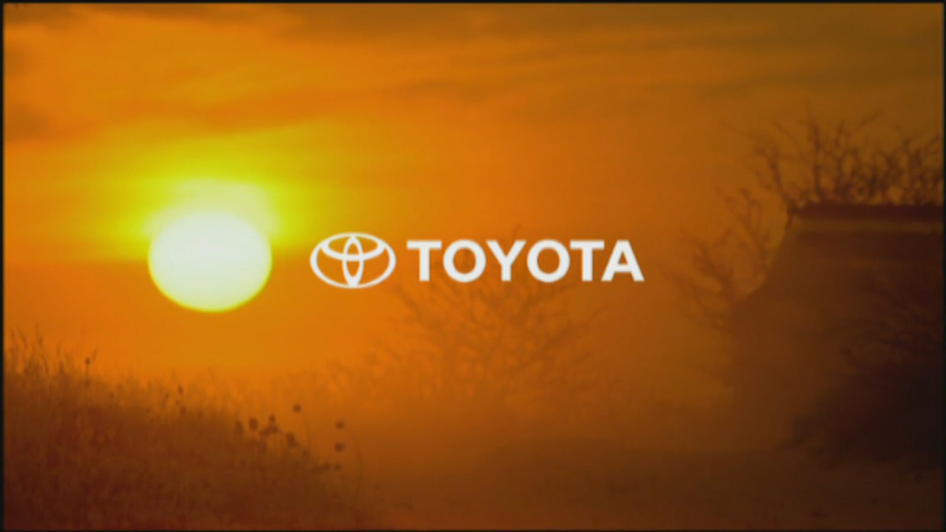 National Geographic/Toyota (Producer/Director)